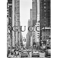 Brand Catalog-ZX 187